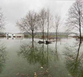 Flooded Archway Urban Farm