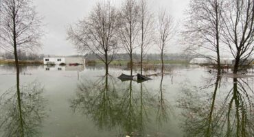 Flooded Archway Urban Farm