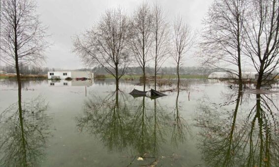 Flooded Archway Urban Farm